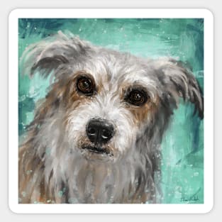 Painting of a Cute Hairy Dog, Looking Directly at You, Turquoise Background Sticker